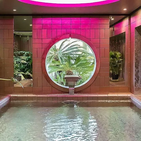 Le Stelsia Saint-Sylvestre-sur-Lot