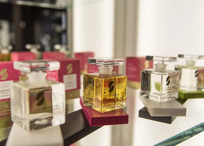 فندق Le Stelsia 4*