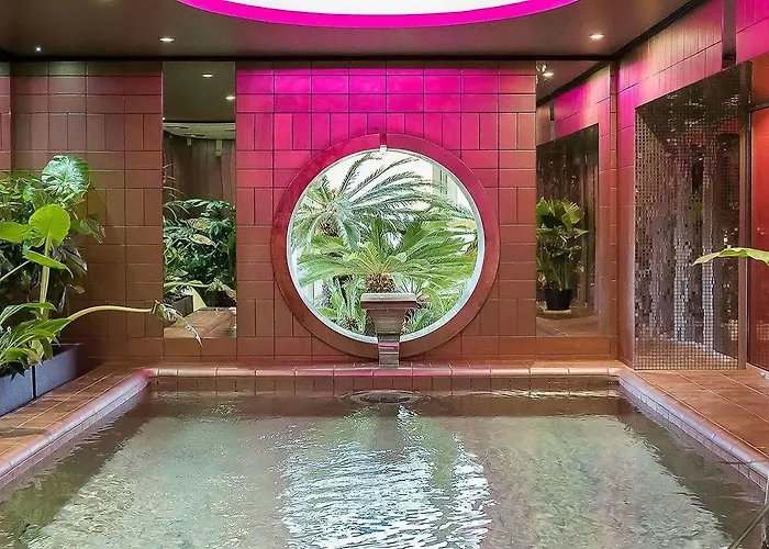 Le Stelsia Saint-Sylvestre-sur-Lot