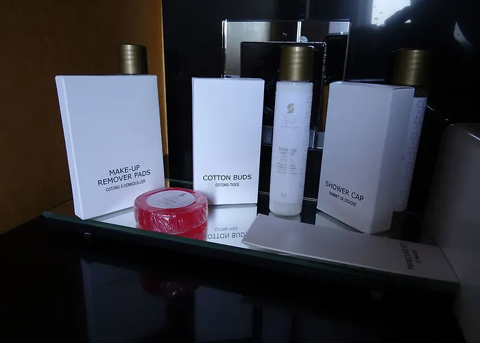 Hotel Le Stelsia 4*